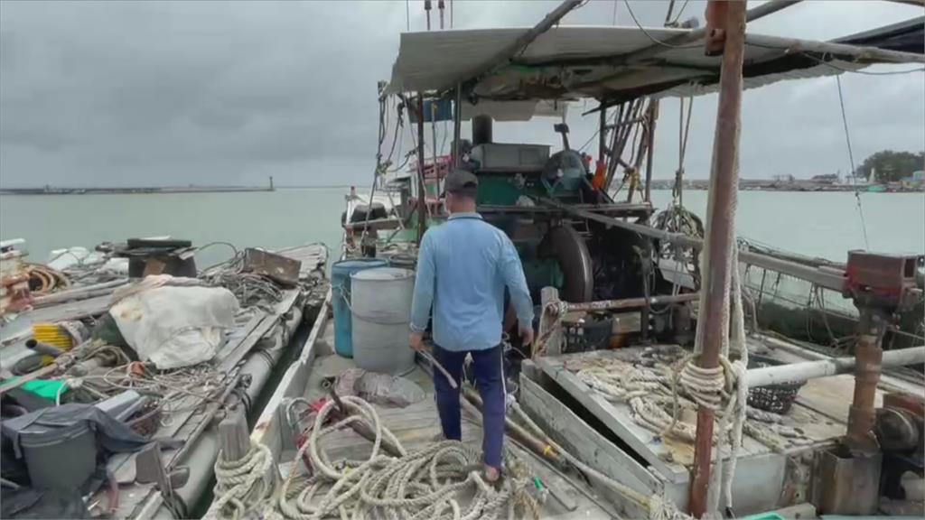 颱風天漁獲量剩1成　遊客少　撿便宜好時機！