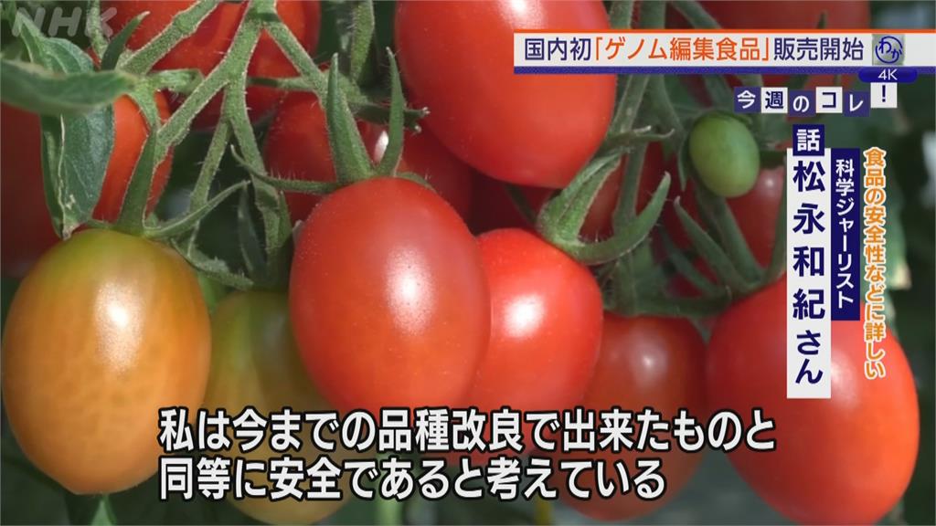 日本又有健康聖品？　首款基改番茄有效降血壓