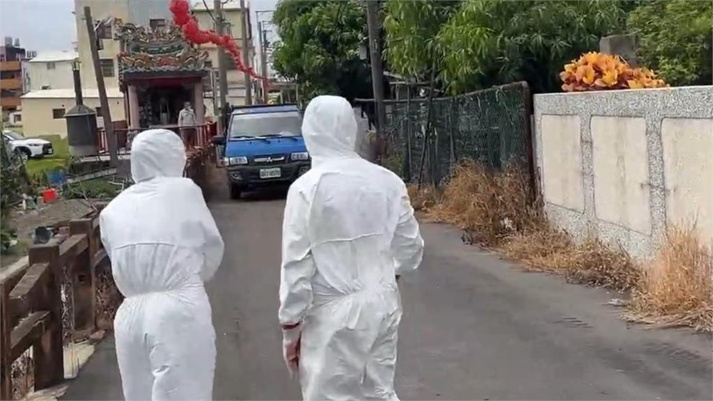 台中爆發首例非洲豬瘟!養豬協會理事長推測「1食品」釀禍:死亡率達100%