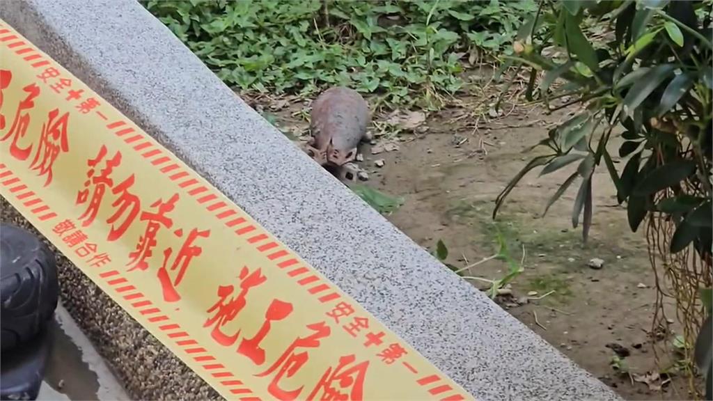 怎麼會在這?桃園社區驚見未爆彈 住戶:嚇死人欸