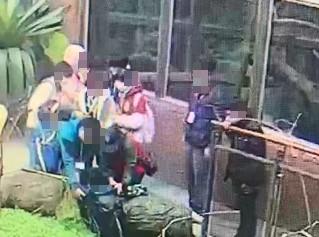 快新聞/動物園驚傳男童落水意外! 疑似邊滑手機邊聊天釀禍