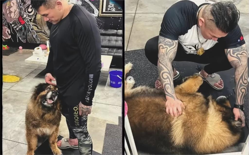 昔攻擊老婆害流產…館長愛犬離世!安樂死前夕「最後道別」畫面曝:我愛你兄弟