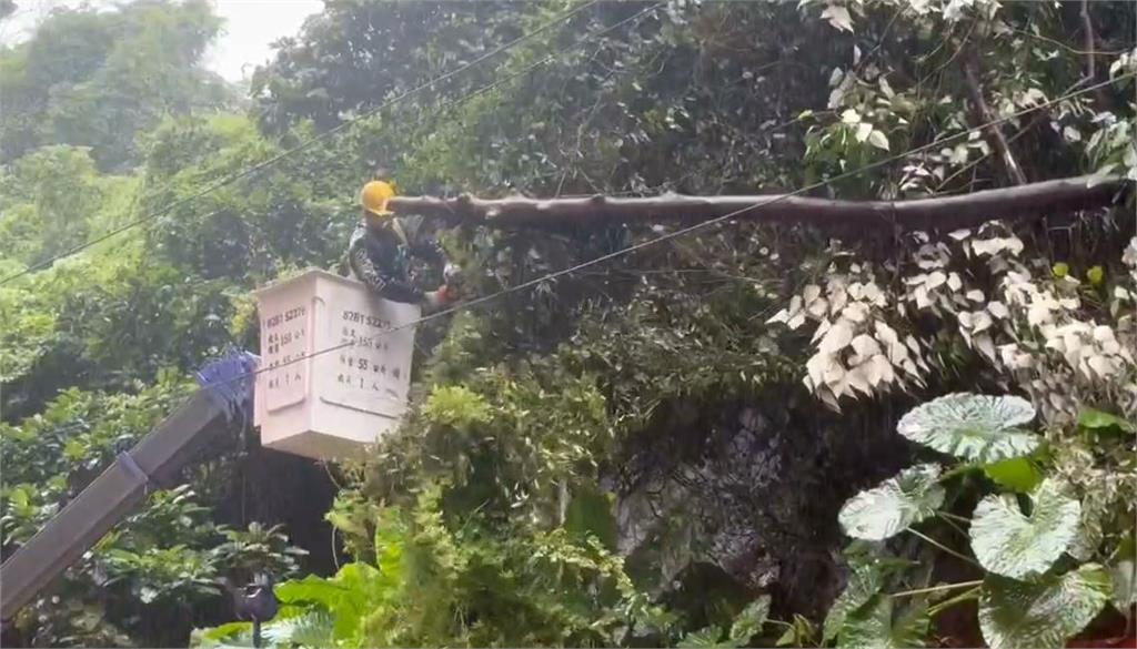 梅雨季最強雨勢！　桃園、基隆路樹驚傳倒塌
