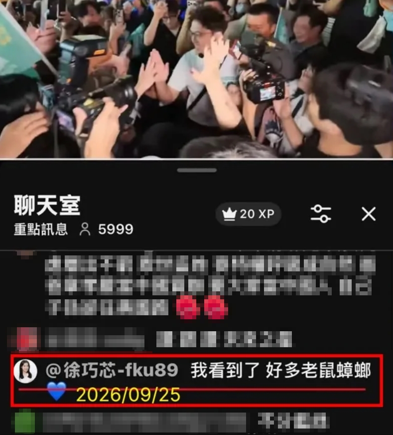 徐巧芯