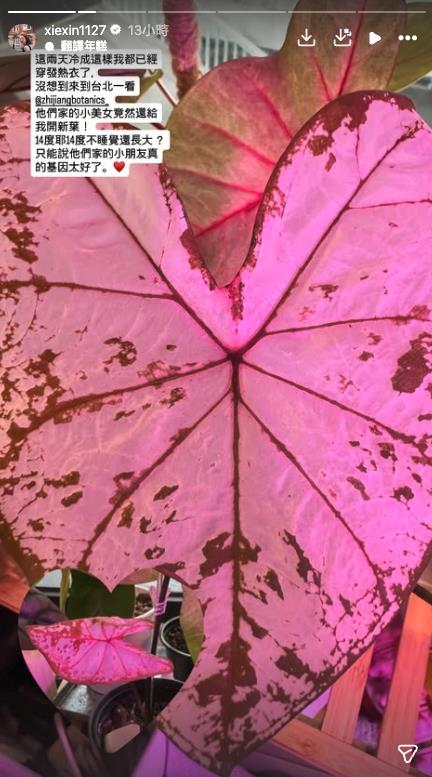 謝忻「遭1液體噴臉」整個爛掉！始末全還原怒喊：基隆人到底欠了誰