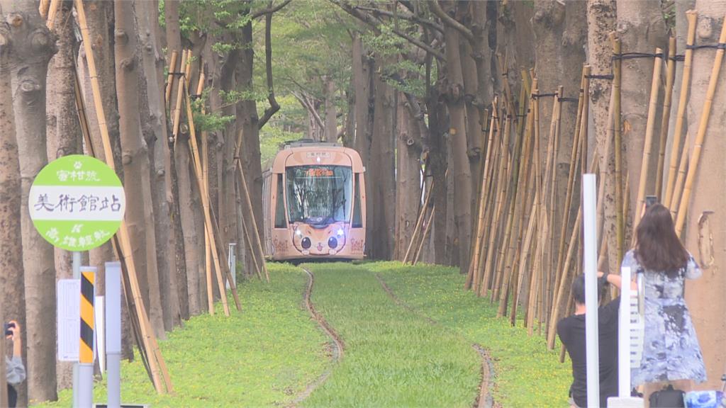 韓國瑜挨批害輕軌龍貓隧道通車延宕　變政績...藍綠互槓割稻尾