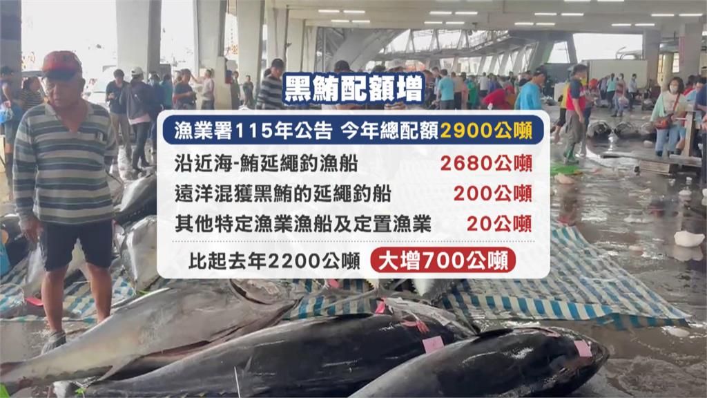 獨／今年黑鮪魚配額增至2900公噸　漁民笑開懷：可回饋消費者