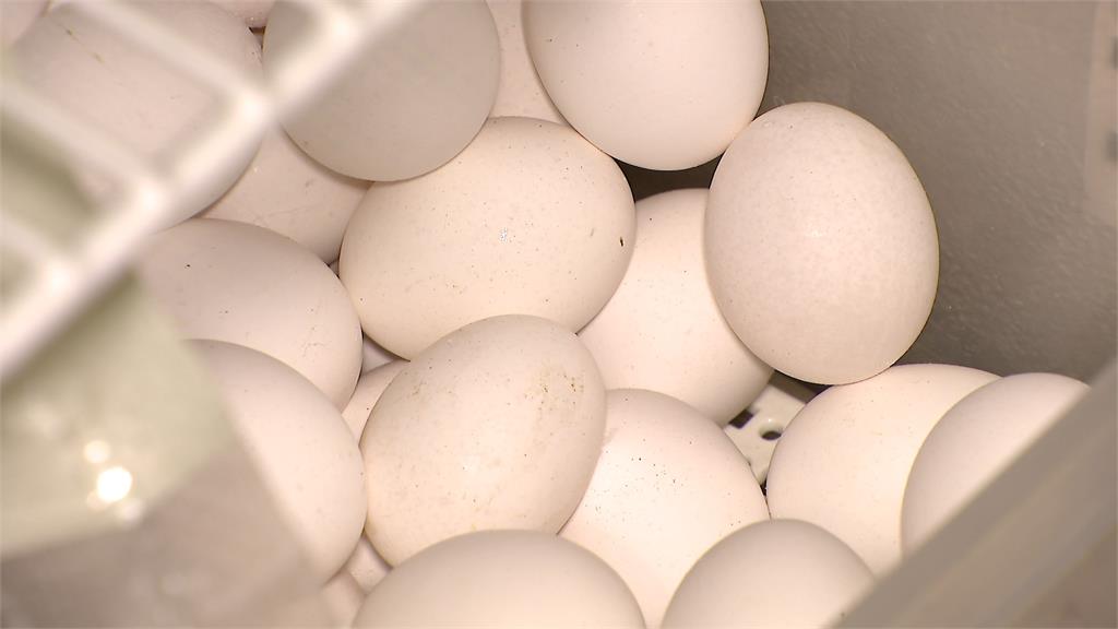 蛋荒未解！餐廳停售蛋料理　蛋捲廠暫停國外訂單