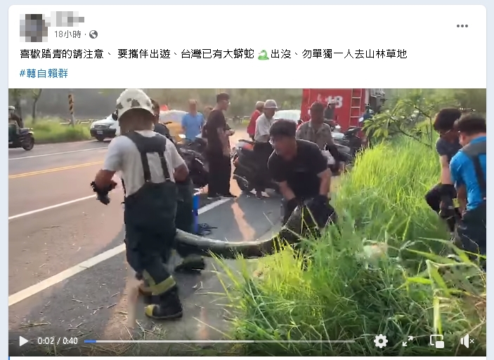 網傳40秒片「台灣有大蟒蛇出沒」勿去山林？查核中心曝真相