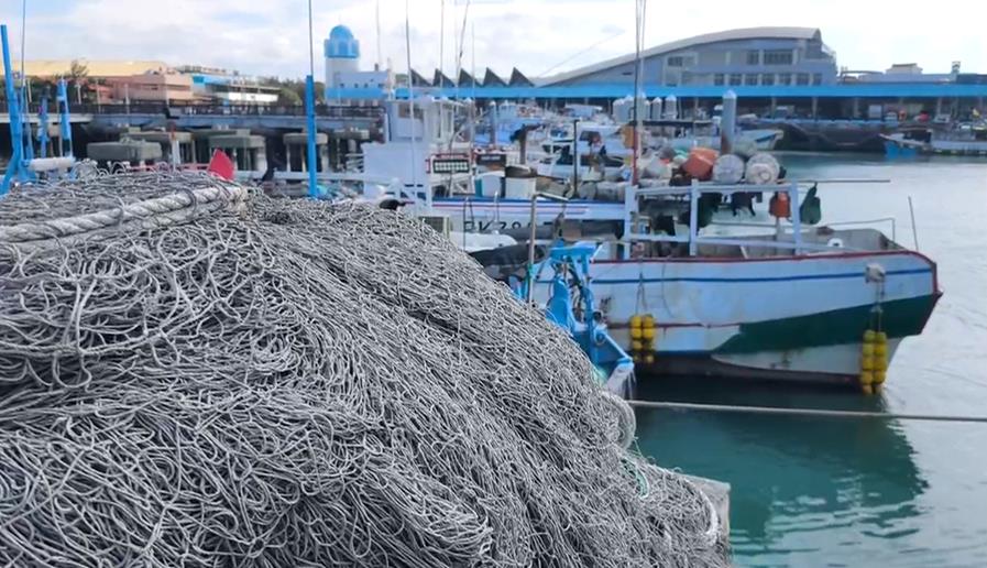 非洲豬瘟爭議又一椿　特約獸醫爆「拿我開刀抓戰犯」