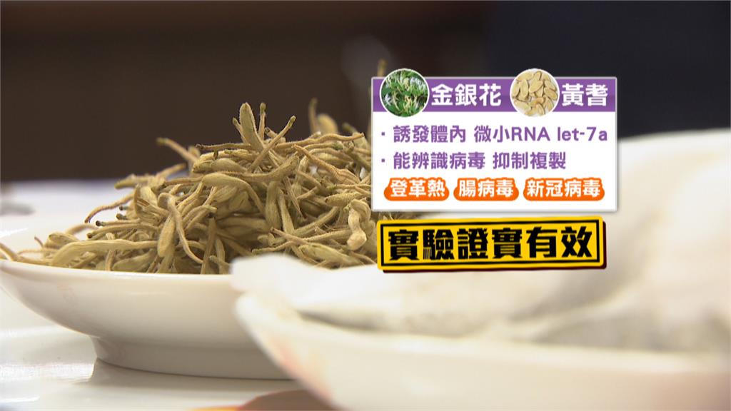 中藥「金銀花」增抵抗力 高醫研究證實有效抗武肺