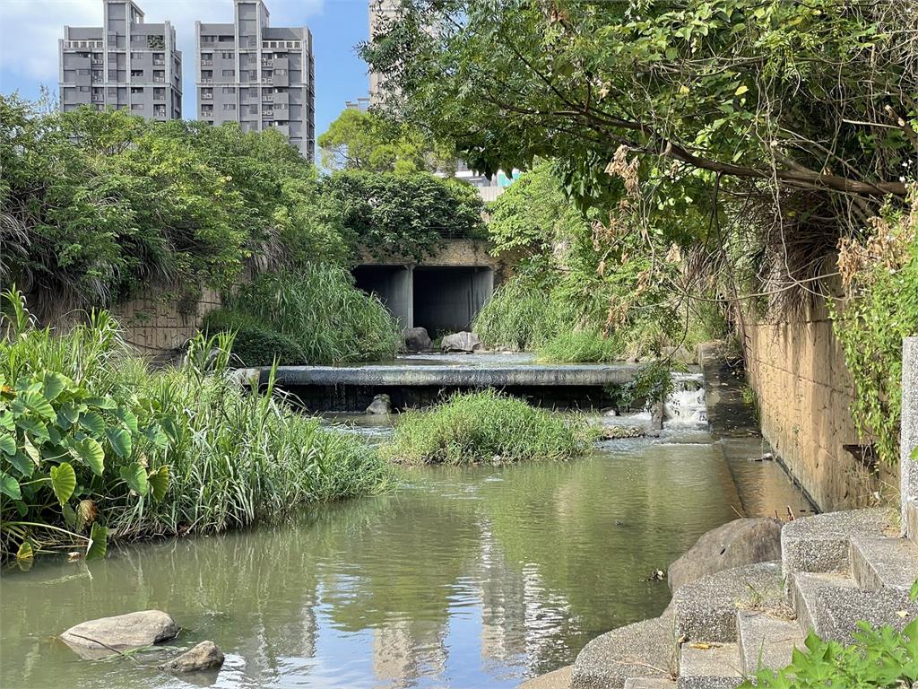 打造魚兒一條安全回家的路 公司田溪生態環境再優化