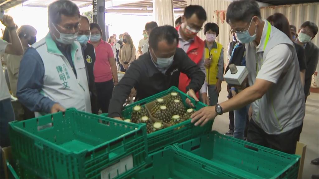 鳳梨拚外銷！　陳吉仲：今年目標銷日逾3萬公噸