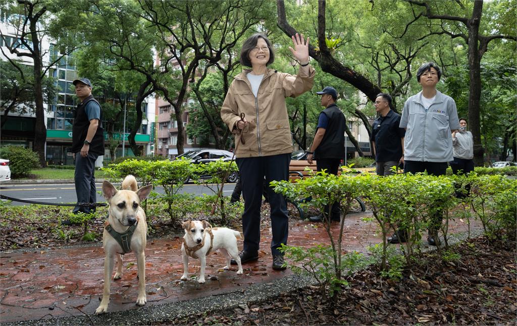 同志大遊行「單親媽帶2寶現身」竟是蔡英文!本人「第一視角曝光」逼哭網:好多彩虹