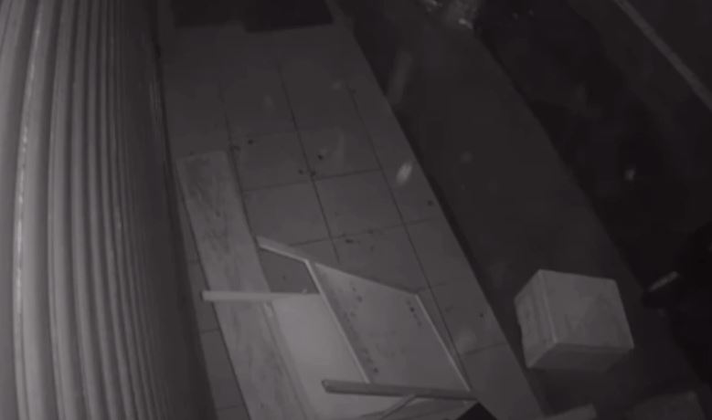 飼主帶危犬杜告犬攻擊路邊流浪犬 竟當幫凶也出手拿木板打狗