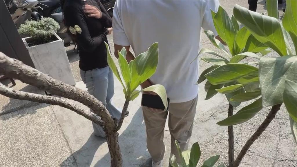 逢甲商圈婦走斑馬線被撞！　搶救2天不治家屬淚求影像