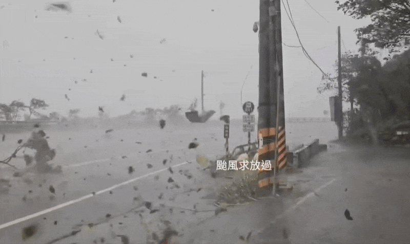 楊柳登陸台東「猛吹10級強風」恐怖畫面曝！他急停路邊「後照鏡吹歪」：求放過