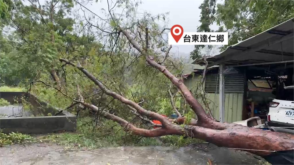 富岡漁港一度掀七米巨浪　大武活動中心屋頂被吹掀