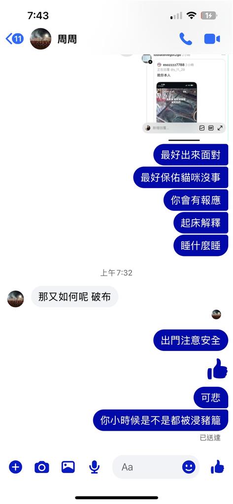 快新聞／2幼貓被裝籠丟海！男子遭逮坦承犯行　高雄動保處將依法究責