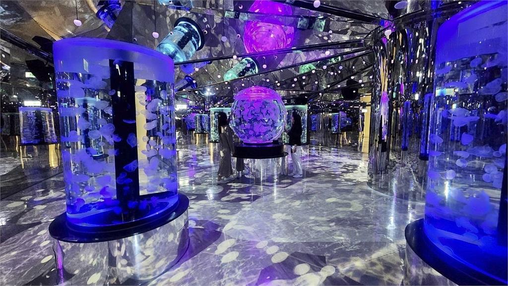 冬の水族館戀愛物語 2023 – 海雪繫情 ∙ 螢光燦爛 –