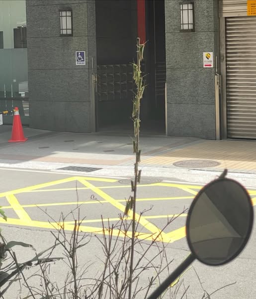 新北驚見「蚱蜢大軍」入侵捷運、公車！「密集畫面曝光」農業局說話了