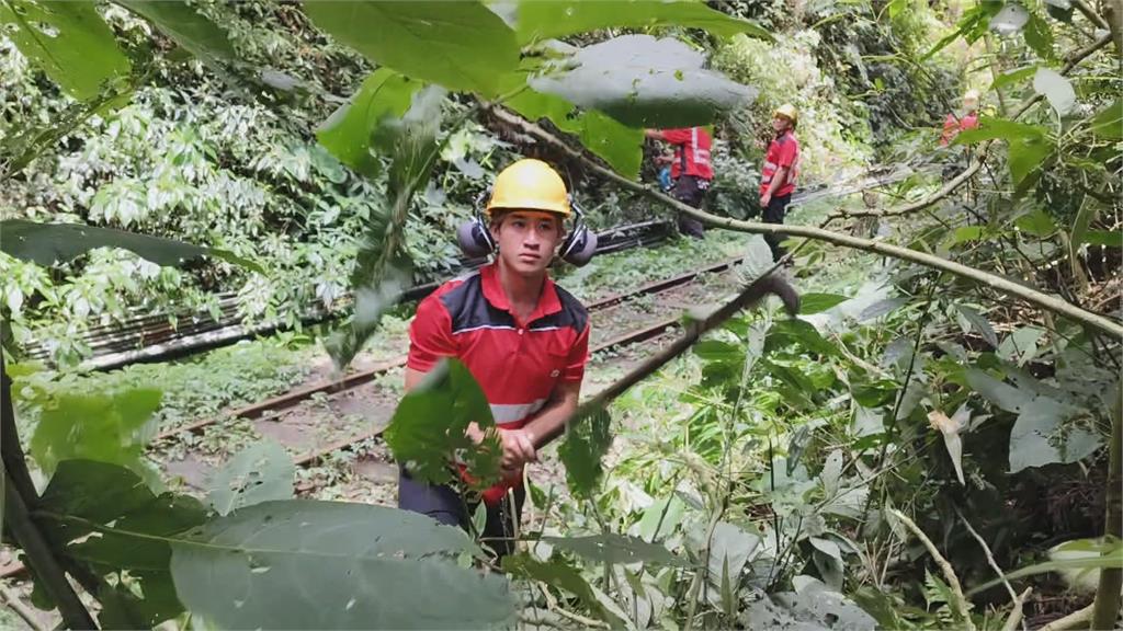 阿里山林鐵全線通車 預防落石兩道防線曝光