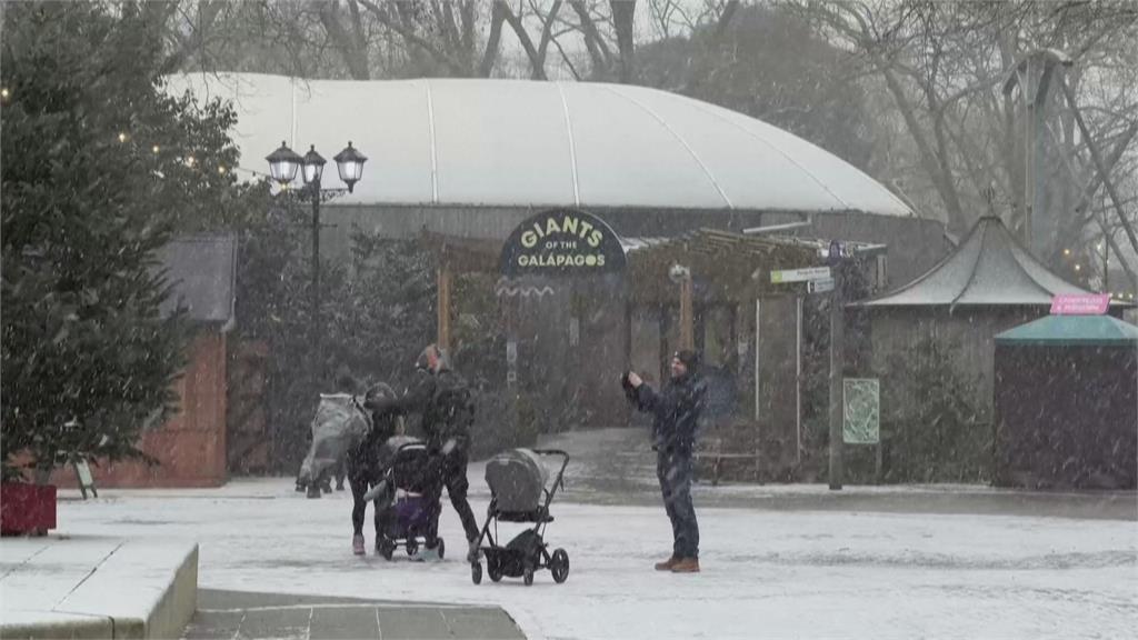 歐洲寒流釀6死　荷法航班大亂　英百校停課