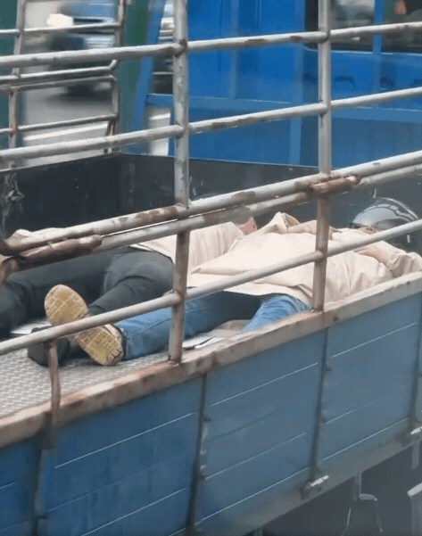 台64線貨車驚見「兩具人體」平躺車斗!畫面曝光網嚇爛:這是屍體?