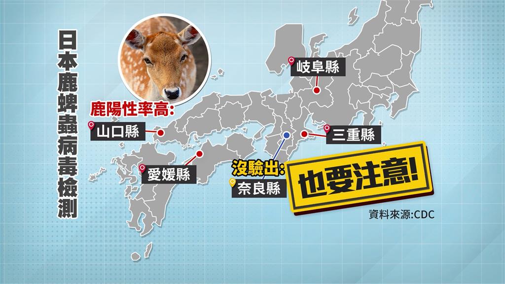 小心！去奈良別摸鹿！　日本現全球首起Oz病毒死亡個案