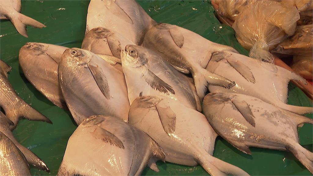 春節買氣爆棚！賣場結帳隊伍排滿滿　干貝漲幅逾5成