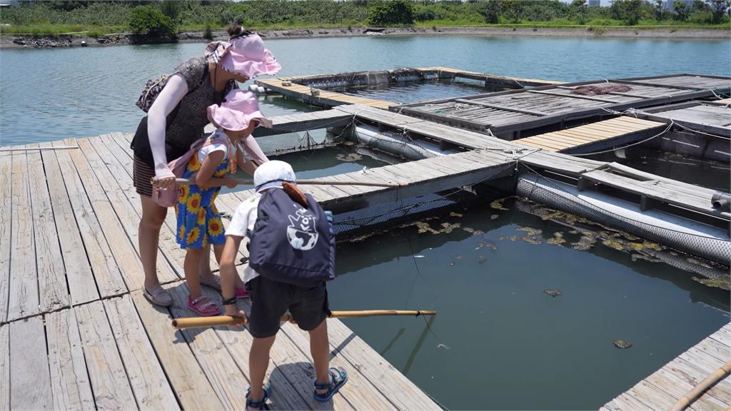 竹北休閒農業區自創「搏魚」釣法 「豪華戰利品」一條龍享受