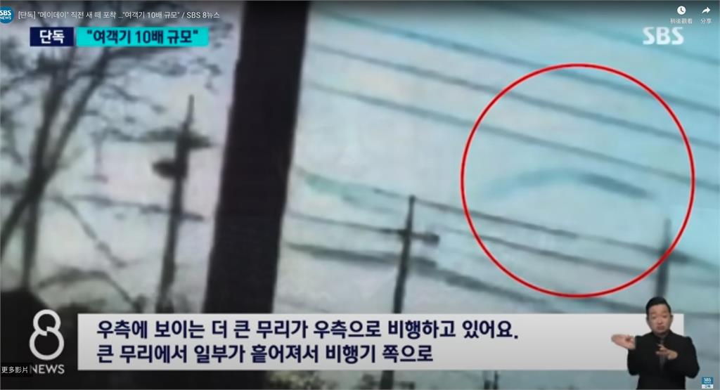 濟州航空撞「巨大鬼影」是真的!南韓國土交通部曝「關鍵證據」:遇鳥襲