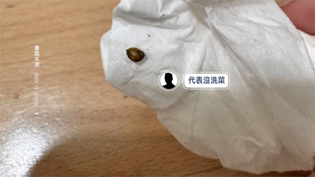 連鎖速食"炸蝦堡"驚見活蝸牛蠕動！　店家回應「全看傻」官方發聲了