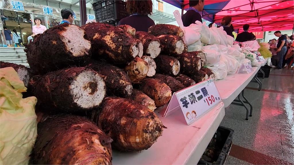 颱風停班停課兩天！　新竹縣營養午餐4.5公噸蔬菜滯銷