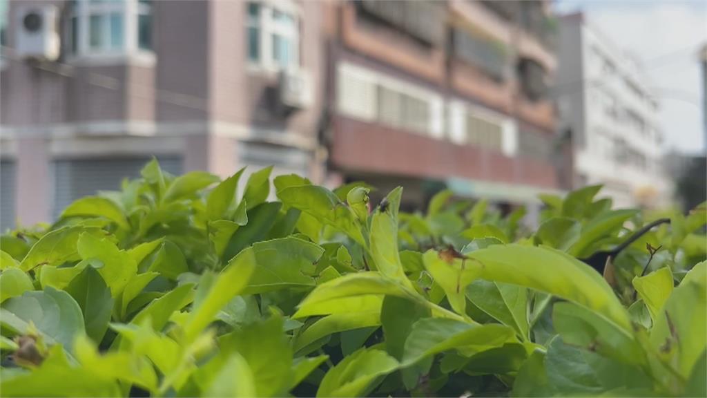 6歲女童讀早療幼兒園臉與手腳「全是傷」 校方:訓練咀嚼功能