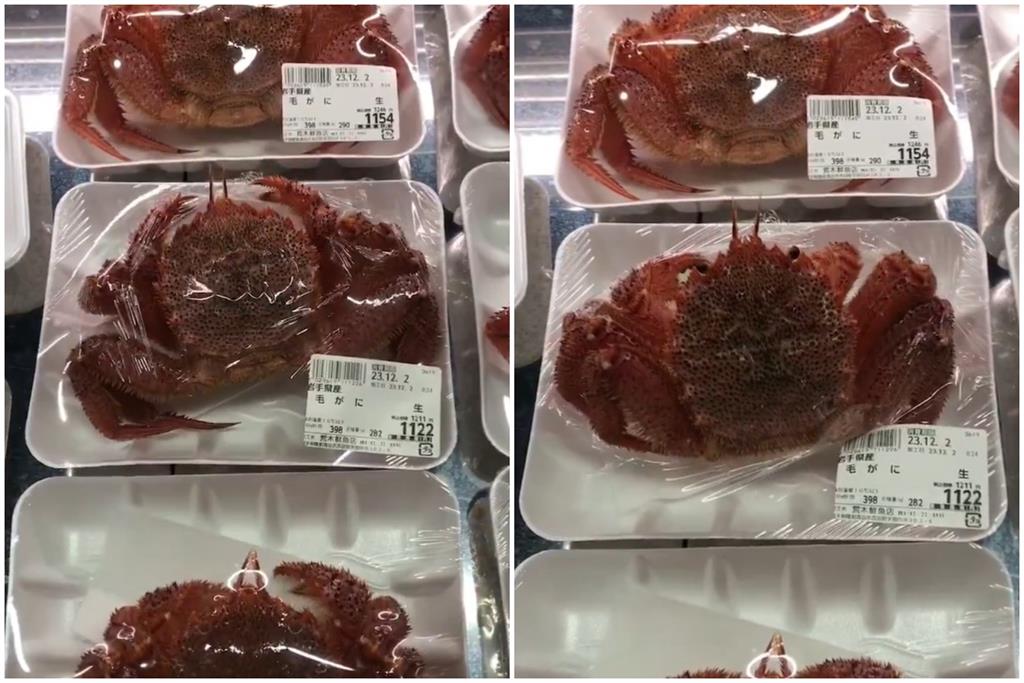 超市毛蟹「還魂」刺破保鮮膜！逃生畫面吸1900萬人朝聖：真生猛海鮮