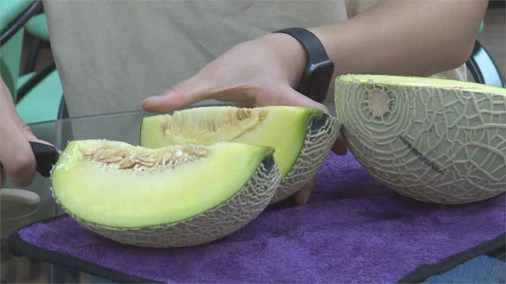 「洋香瓜界的LV」　日本阿露斯品種洋香瓜　台灣這邊種出來了