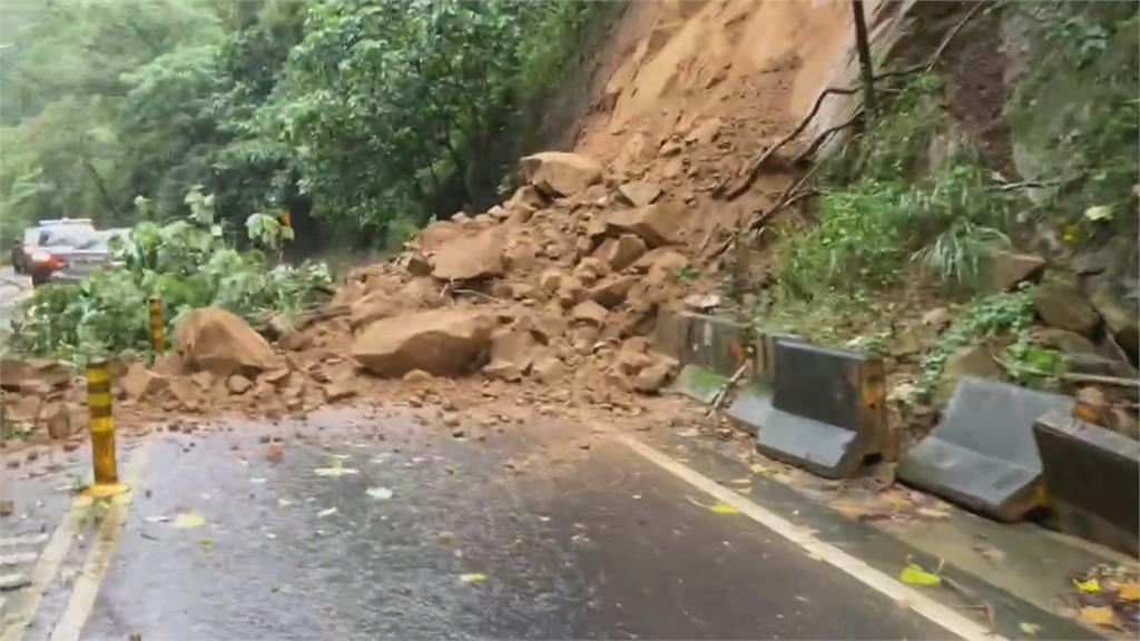 豪雨襲高雄！災情頻傳　輕軌列車慘遭路樹壓到