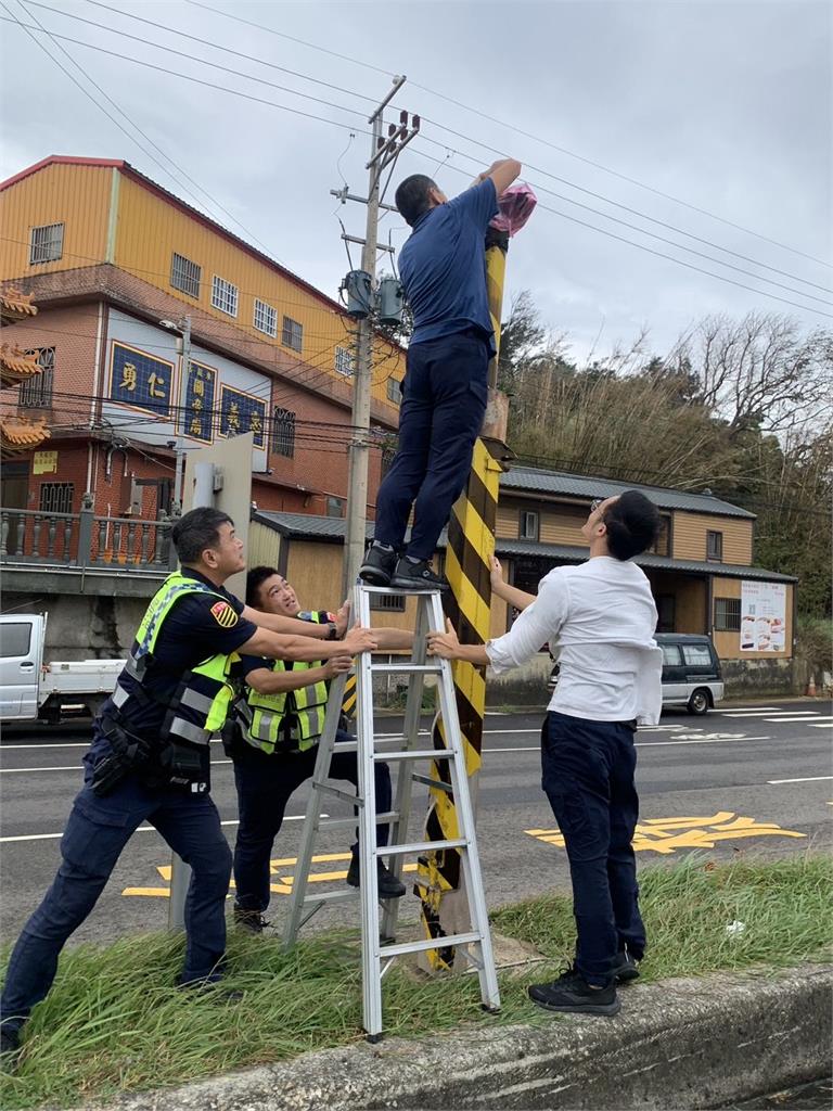 快新聞/強風吹斷苗栗「測速照相機」 網狂向康芮致謝:幹得好!今日最溫馨