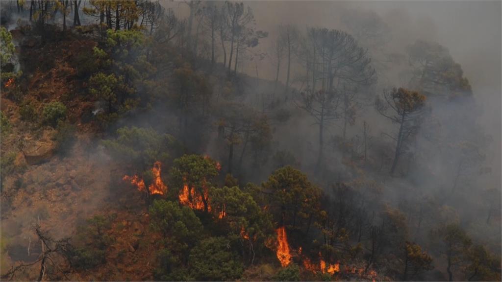 900人被迫撤離家園！西班牙度假勝地野火燒不停　1消防員殞命