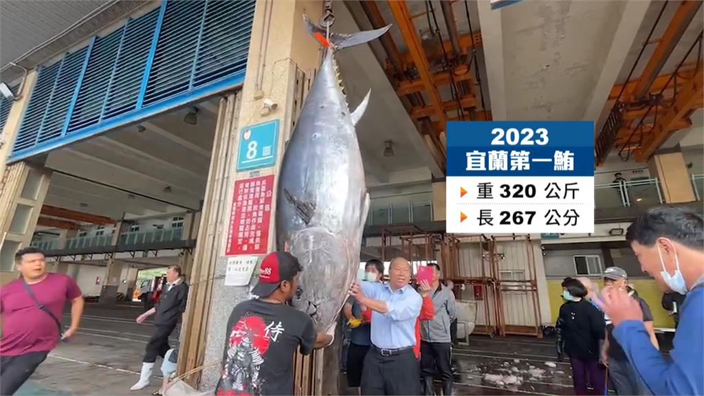 蘇澳漁船捕獲宜蘭第一鮪 重320公斤創近年紀錄