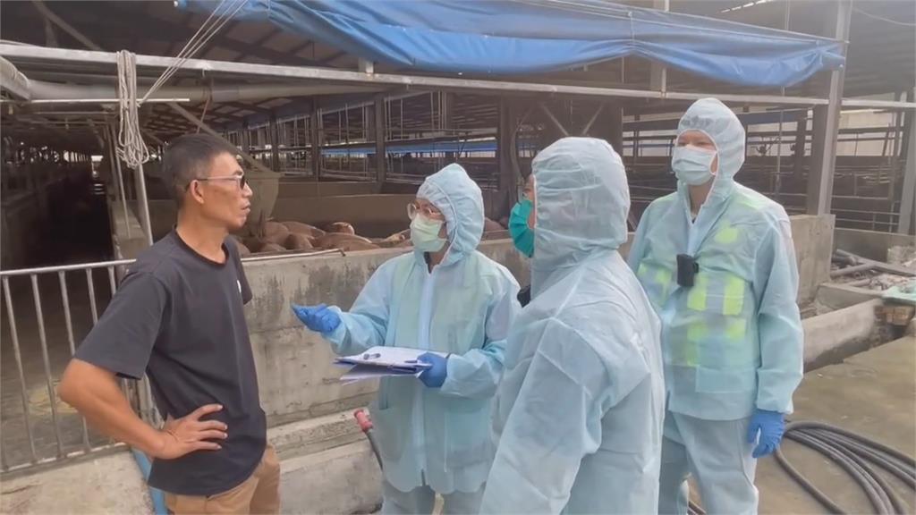 羅智強稱屏東廚餘養豬場稽查率僅7% 縣府、豬農駁斥