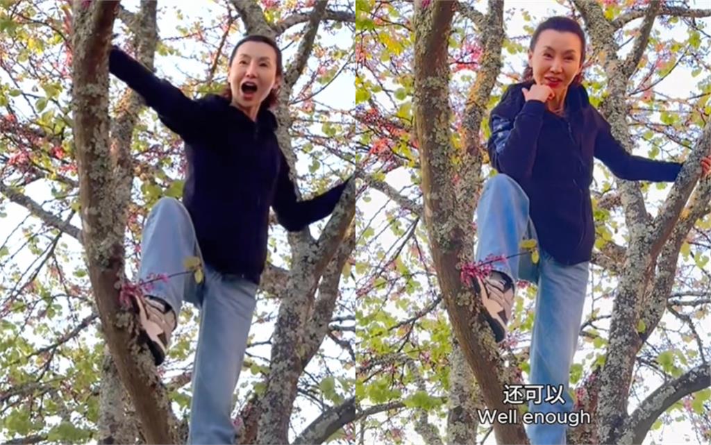 法國豪爽大姐「找小女孩PK爬樹」竟是張曼玉！60歲超靈活「近拍1幕」震撼網