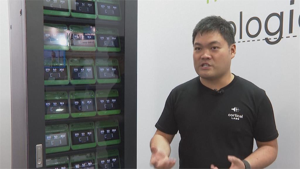 全球首台生物電腦! 結合腦細胞與晶片 主打節能運算