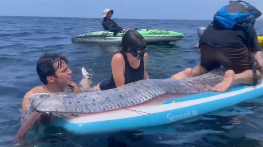 「末日魚」現蹤南加州　2天後洛杉磯就地震