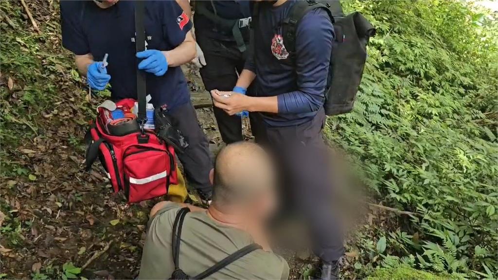 新北通報虎頭蜂攻擊近4千起　台大推警示系統避險