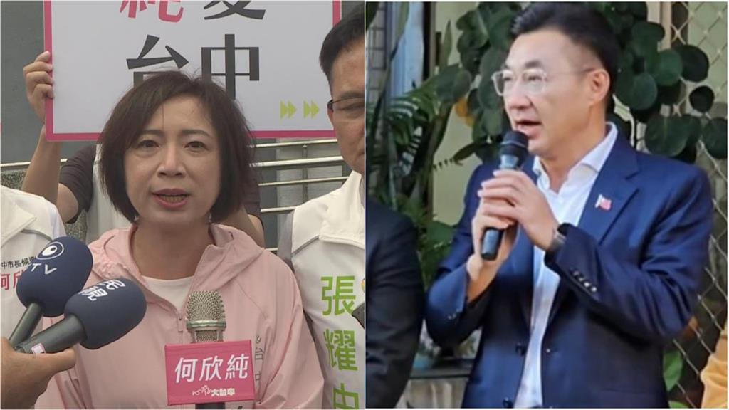 鄭麗文「害慘國民黨」南部選情無望了？吳靜怡示警：台中江啟臣恐翻盤