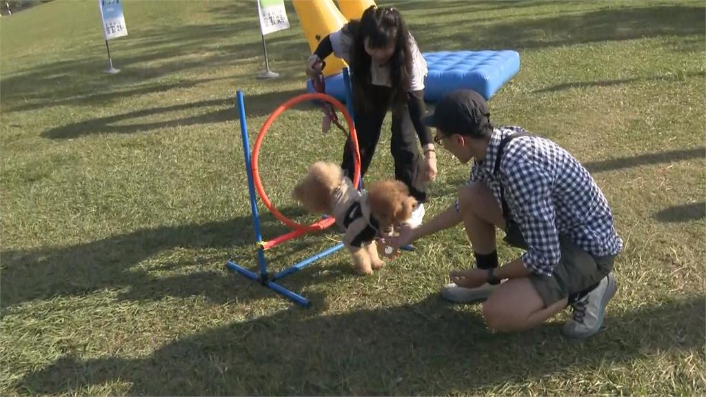 高雄動保處頒獎典禮辦音樂節 陳其邁盼落實友善動物城市
