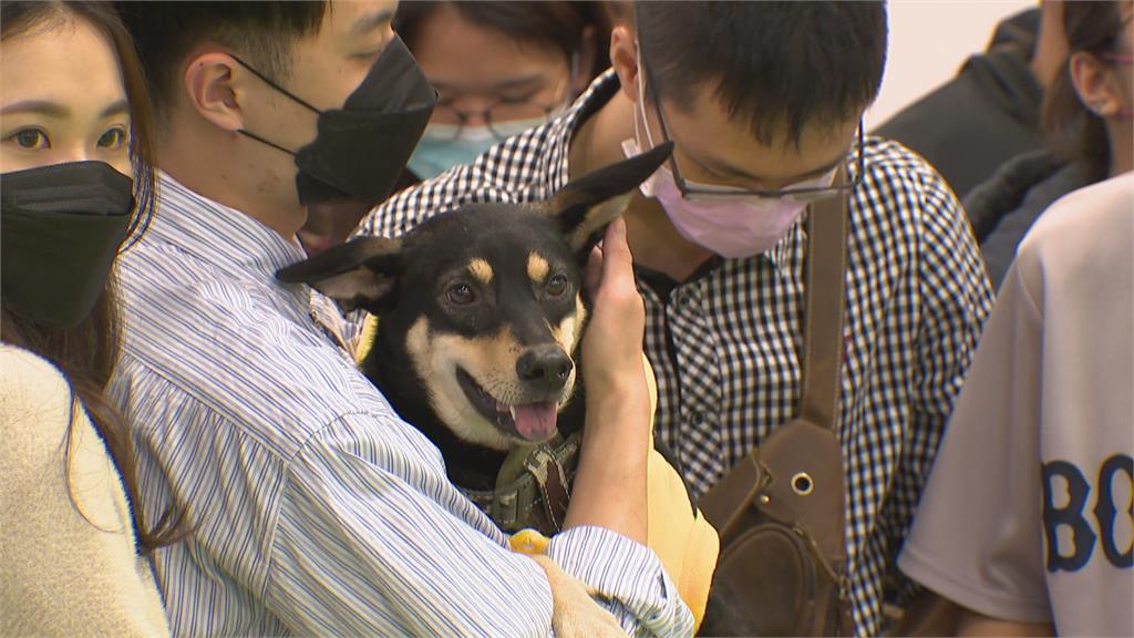 台北寵物展擠爆　「引逗師」讓毛寶貝拍出奇蹟美照