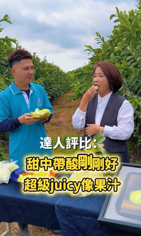 楊忠憲芭樂Threads意外走紅！周春米衝果園「朝聖本人」好吃原因曝光